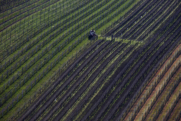 Landscape Art Print featuring the photograph Moravia by Clas Gustafson Efiap