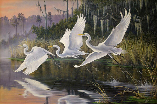 Morning Departure Egrets Art Print featuring the painting Morning Departure Egrets by Wilhelm Goebel