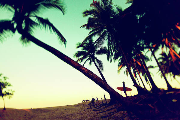 Surfing Art Print featuring the photograph Morning Gaze by Nik West