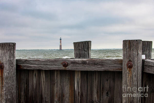 Morris Island Lighthouse Art Print featuring the photograph Morris Island Lighthouse - Charleston South Carolina - Save the Light by Dale Powell