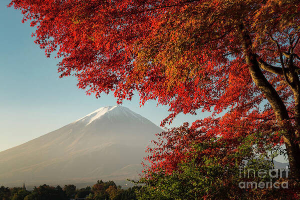 Scenics Art Print featuring the photograph Mt. Fuji Under The Scarlet Maple Leaves by Yuga Kurita