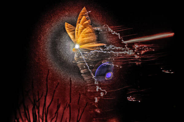 Abstract Art Print featuring the photograph New Year Butterfly by Bjrn A Hveding