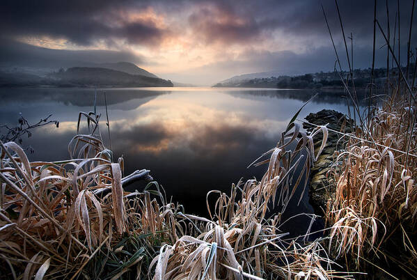 Lake Art Print featuring the photograph New Years Frost by Gary Mcparland