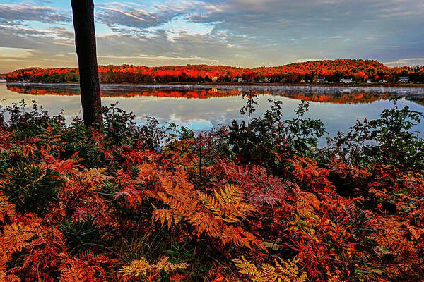 Newburyport Art Print featuring the photograph Newburyport MA Maudslay State Park Fall Foliage Sunrise Merrimack River Reflection Ferns by Toby McGuire