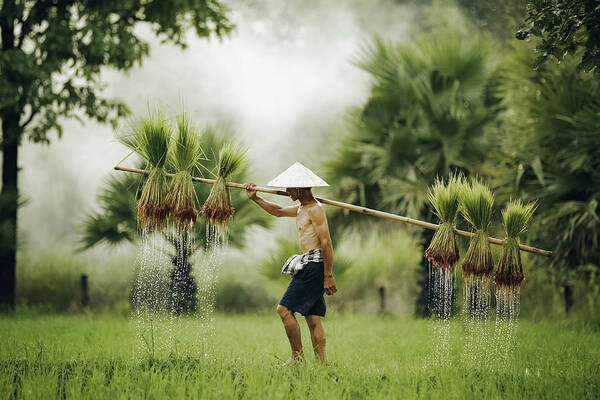 Farmer Art Print featuring the photograph No.1 by Adirek M