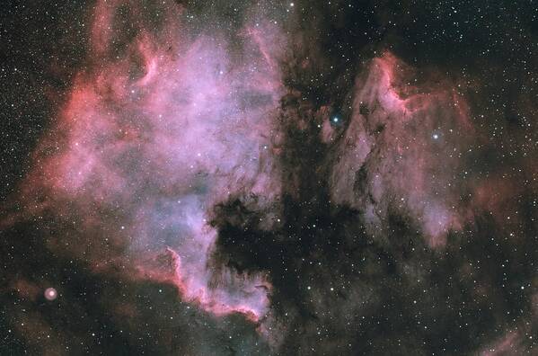 Universe Art Print featuring the photograph North America And Pelican In Cygnus by Sismo Astroberry