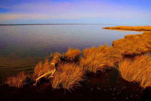 Northern Exposure Prints Art Print featuring the photograph Northern Exposure by John Harding