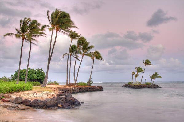 Scenics Art Print featuring the photograph Oahu Island Seascape by (c) Loco Moco Photos