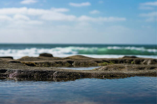 Landscape Art Print featuring the photograph Ocean beach tide pools by Local Snaps Photography