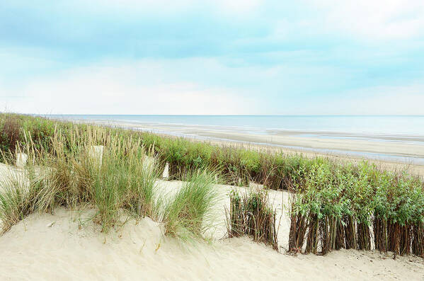Water's Edge Art Print featuring the photograph Ocean View From Dunes With Marram Grass by Knaupe