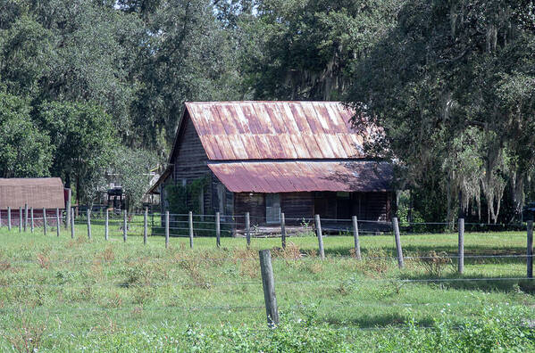 Florida Art Print featuring the photograph Old Florida Homestead by Rick Redman