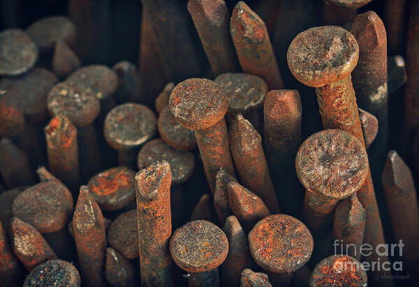 Built Structure Art Print featuring the photograph Old Rusty Nails by Alper Doruk