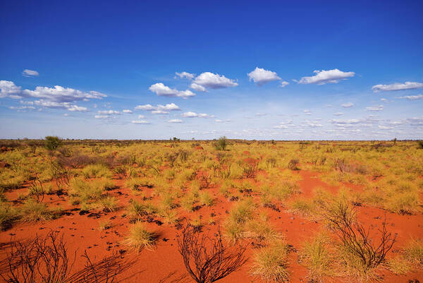 Scenics Art Print featuring the photograph Outback Landscape Showing The Blue Sky by Cuhrig