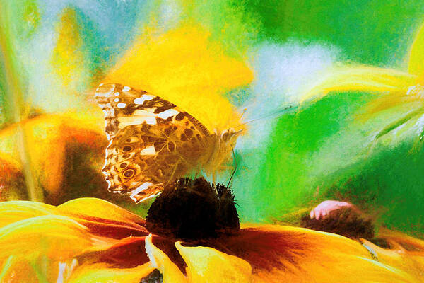 Cosmopolitan Art Print featuring the photograph Painted Lady Butterfly Wildflower by Don Northup