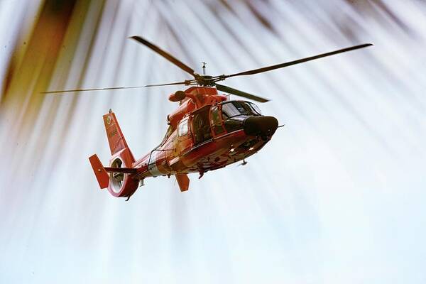 Helicopter Art Print featuring the photograph Palm Chopper by Climate Change VI - Sales