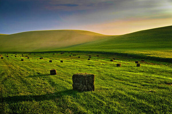 Tranquility Art Print featuring the photograph Palouse Hay Field Near Moscow, Idaho by Bern Harrison