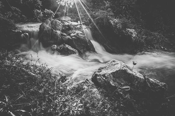 Waterfall Art Print featuring the photograph Parod Falls - black and white by Mati Krimerman