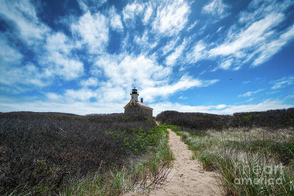 Rhode Island Art Print featuring the photograph Path To North Light by Michael Ver Sprill