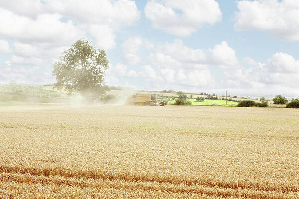 Dust Art Print featuring the photograph Paths Carved In Crop Field by Robin James