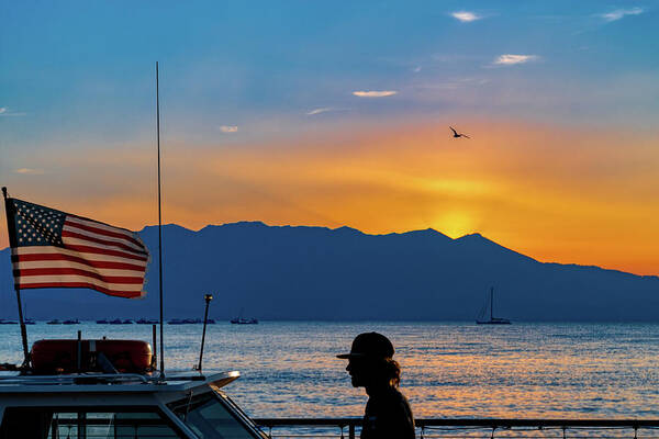 Bird Art Print featuring the photograph Patriot on the Lake by Robert FERD Frank