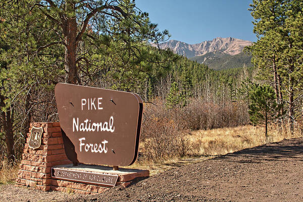 Pike National Forest Art Print featuring the photograph Pike National Forest by Kristia Adams
