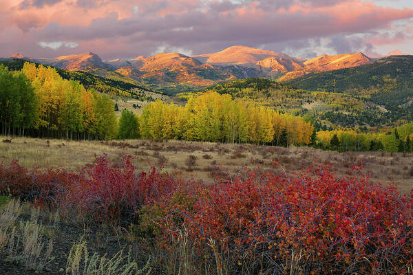Pikes Peak Art Print featuring the photograph Pikes Peak - Autumn by Aaron Spong