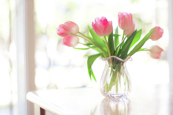 Vase Art Print featuring the photograph Pink Glass Vase Of Pink Tulips In Window by Jessica Holden Photography