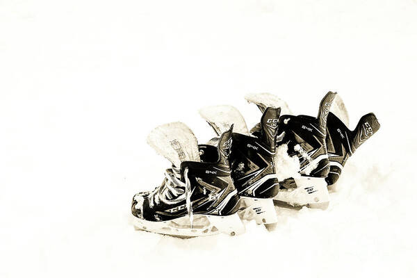 Ice Skates Art Print featuring the photograph Pond Skates by Darcy Dietrich
