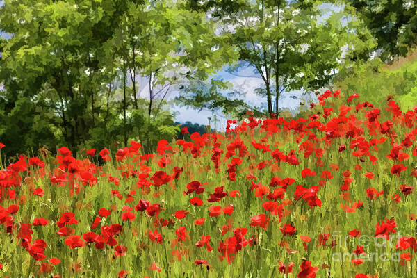 Flowers Art Print featuring the digital art Poppies and Trees by Lisa Lemmons-Powers