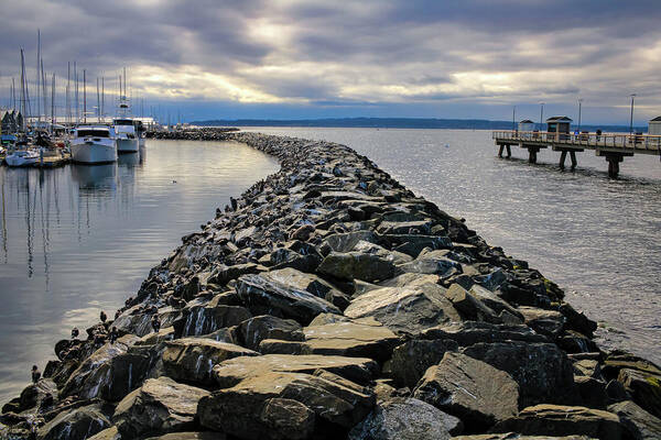 Port Art Print featuring the photograph Port of Edmonds by Anamar Pictures