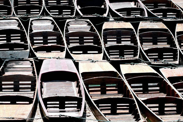 In A Row Art Print featuring the photograph Punts At Oxford by Linda Scannell