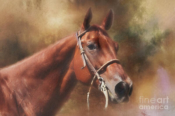 Quarter Horse Art Print featuring the photograph Quarter Horse Portrait by Eleanor Abramson