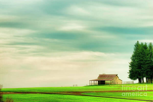 Minimalist; Landscape; Countryside; Farm; Pasture; Barn; Trees; Evergreen; Sky; Clouds; Simplicity; Beautiful; Peaceful; Serene; Meditative; Inviting; Structure; Building; Fence; Green; Blue; White; Oregon; Pacific Northwest; Dee Browning Photography; No One; Nobody; Fine Art; Wall Art; Print; Photography Art Print featuring the photograph Quiet Morning by Dee Browning