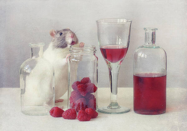 Rodent Art Print featuring the photograph Raspberries by Ellen Van Deelen