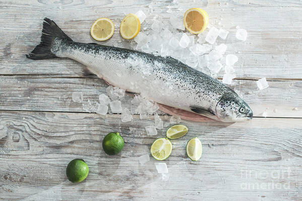 Ice Cube Art Print featuring the photograph Raw Salmon With Ice, Lime And Lemons by Westend61