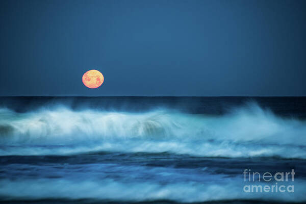 Moon Art Print featuring the photograph Red Moon by Hannes Cmarits