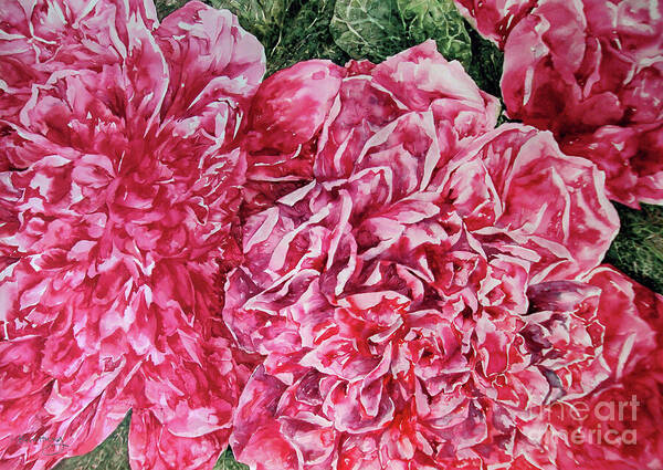 Watercolour Art Print featuring the painting Red Peonies by Kim Tran