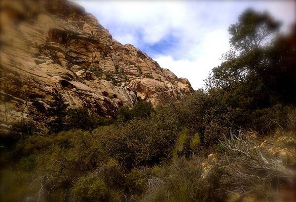 Red Rock Canyon Art Print featuring the photograph Red Rock Canyon Hike by Debra Grace Addison