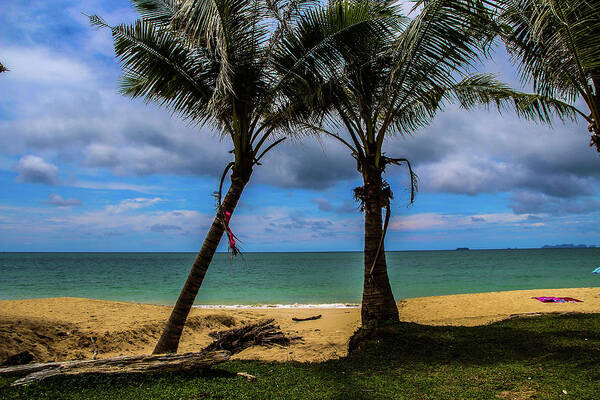 Palm Tree Art Print featuring the photograph Relax time by Emese Kis-Pal