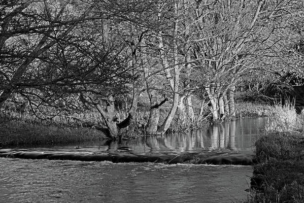 Britain Art Print featuring the photograph Riverside Trees - Wolfscote Dale by Rod Johnson