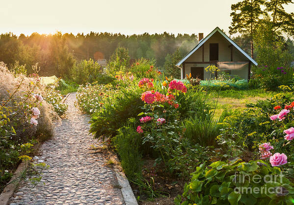 Flora Art Print featuring the photograph Road In The Beautiful Garden by Scorpp