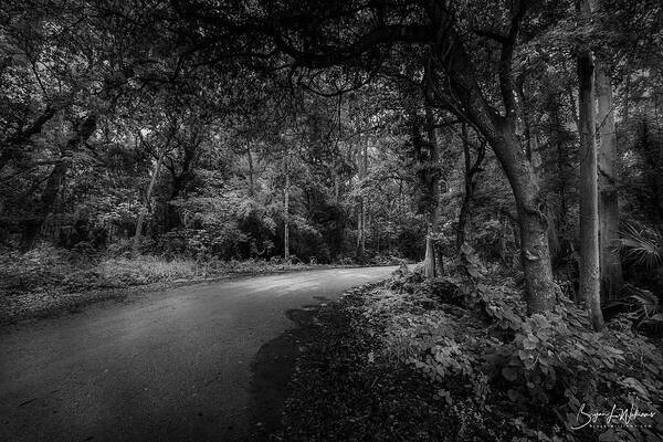 Forest Art Print featuring the photograph Road to Nowhere by Bryan Williams