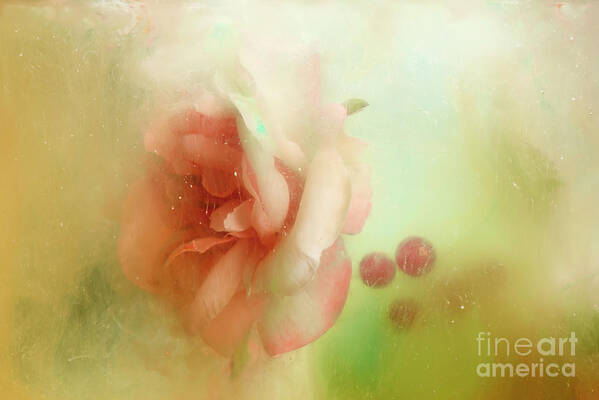 Underwater Art Print featuring the photograph Rose, Berries And Paint Shot Underwater by Tara Moore