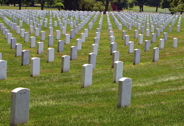 Headstones Art Print featuring the photograph Rows of Headstones by Anthony Jones