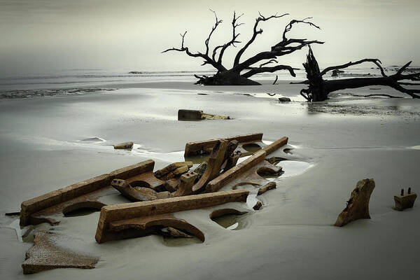 Driftwood Beach Art Print featuring the photograph Ruins on Driftwood Beach by James Covello
