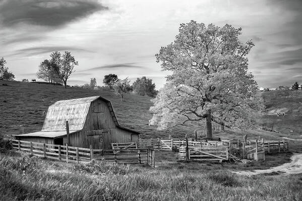 America Art Print featuring the photograph Rural Farmhouse and Lone Tree Landscape in Infrared Monochrome by Gregory Ballos