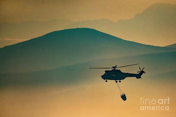 Helicopter Art Print featuring the photograph Saaf Atlas Oryx Helicopter Fighting Fire by Tony Camacho/science Photo Library