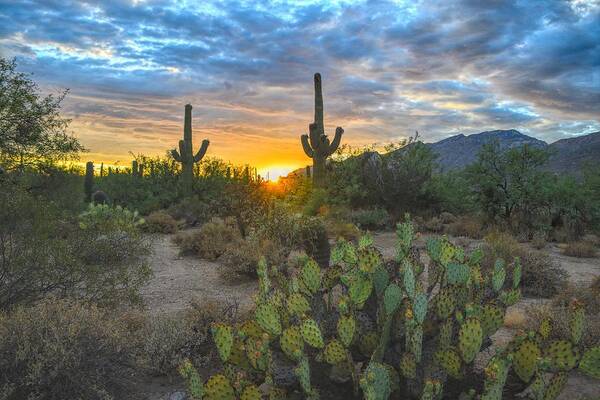 Sonoran Desert Art Print featuring the photograph Sabino Canyon and Mount Kimball Sunset, Tucson, AZ by Chance Kafka