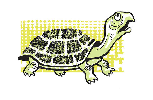 Amphibian Art Print featuring the drawing Sad Turtle Looking Up by CSA Images