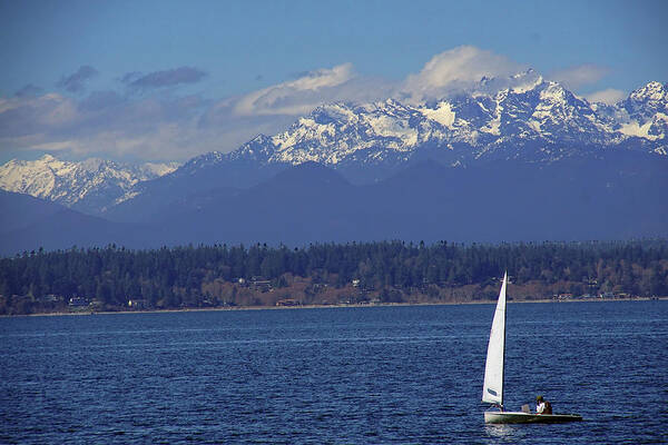 Lake Art Print featuring the photograph Sailboat on Puget Sound with Olympic mountains by Steve Estvanik